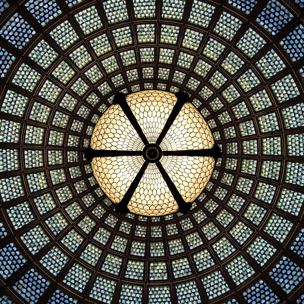 Meet your Posher, Frank and daisy